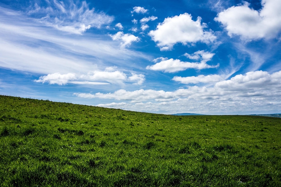 Agriculture beautiful photo cloud