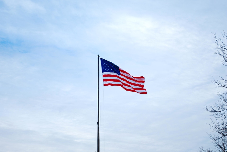 Democracy emblem flag