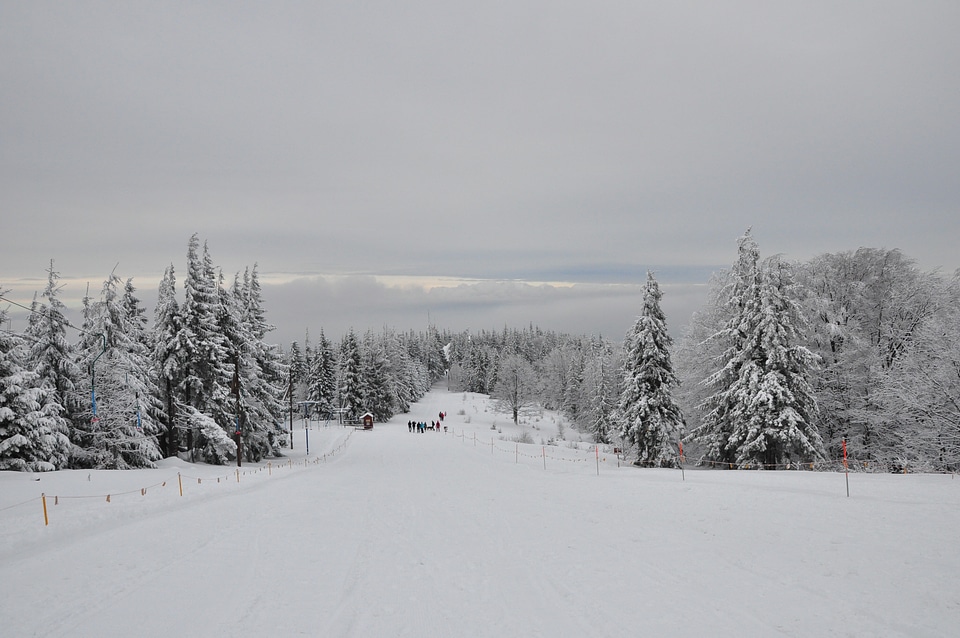 Landscape white one