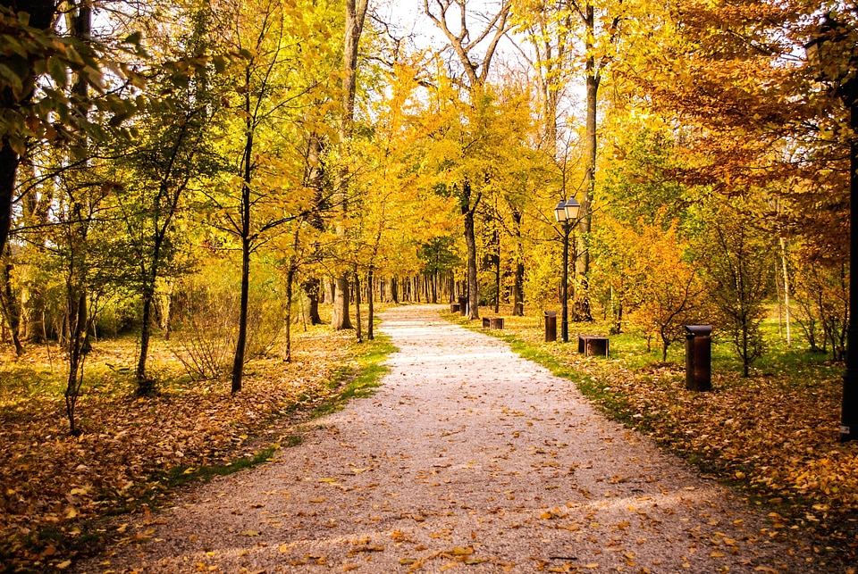 Alley autumn beautiful photo photo