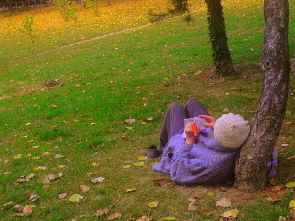 Day environment field