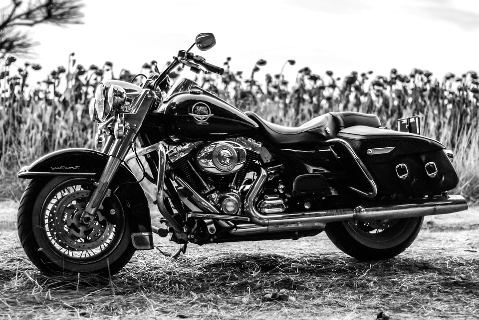 Beautiful Photo black black and white