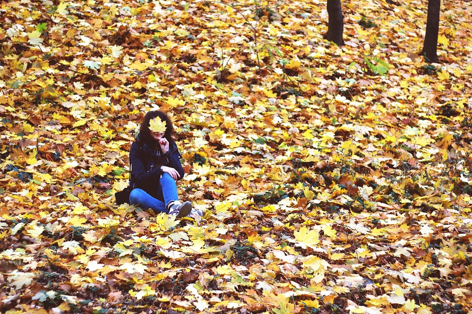 Autumn autumn season beautiful