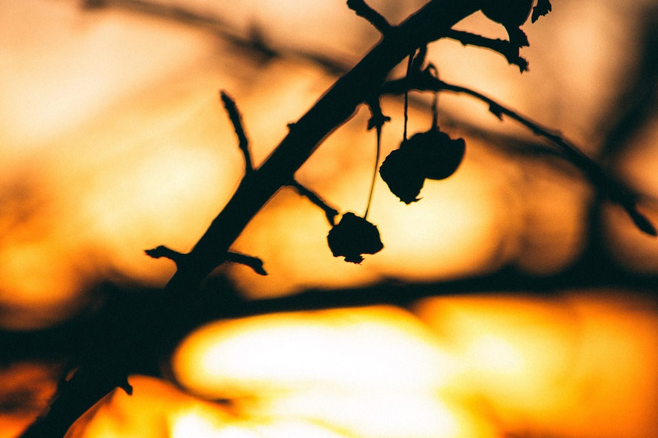 Backlight dark dusk