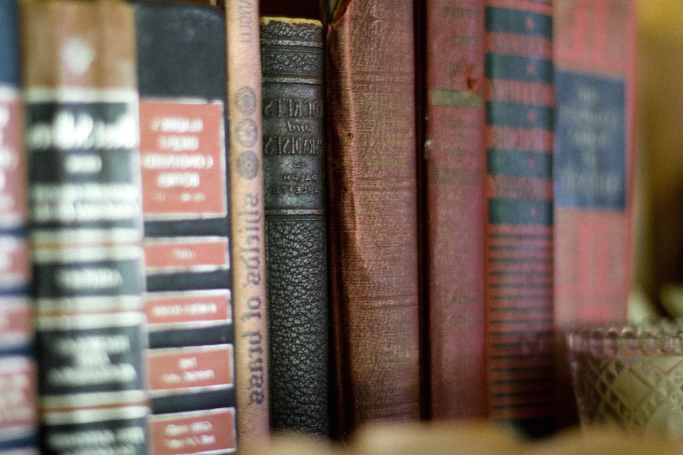 Book bookcase bookstore