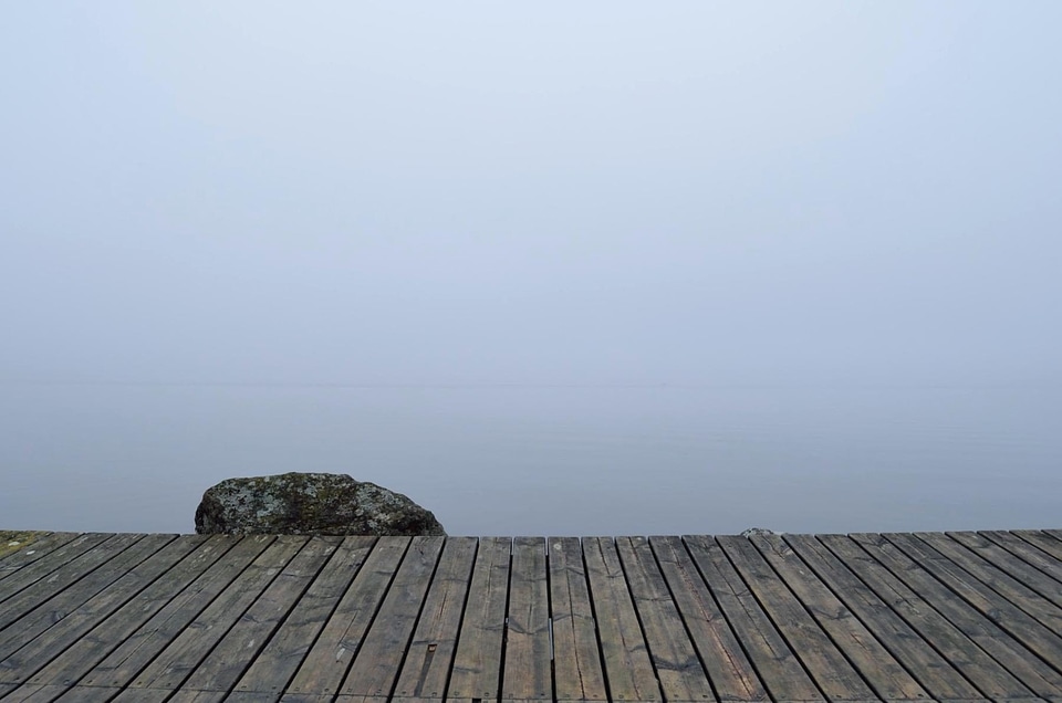 Fog foggy landscape