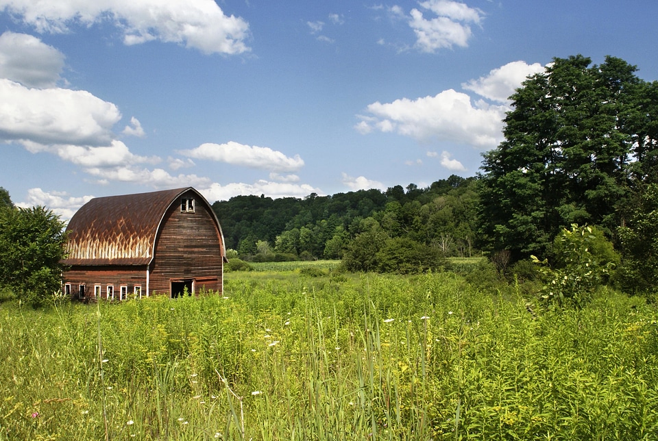 Agriculture architecture barn