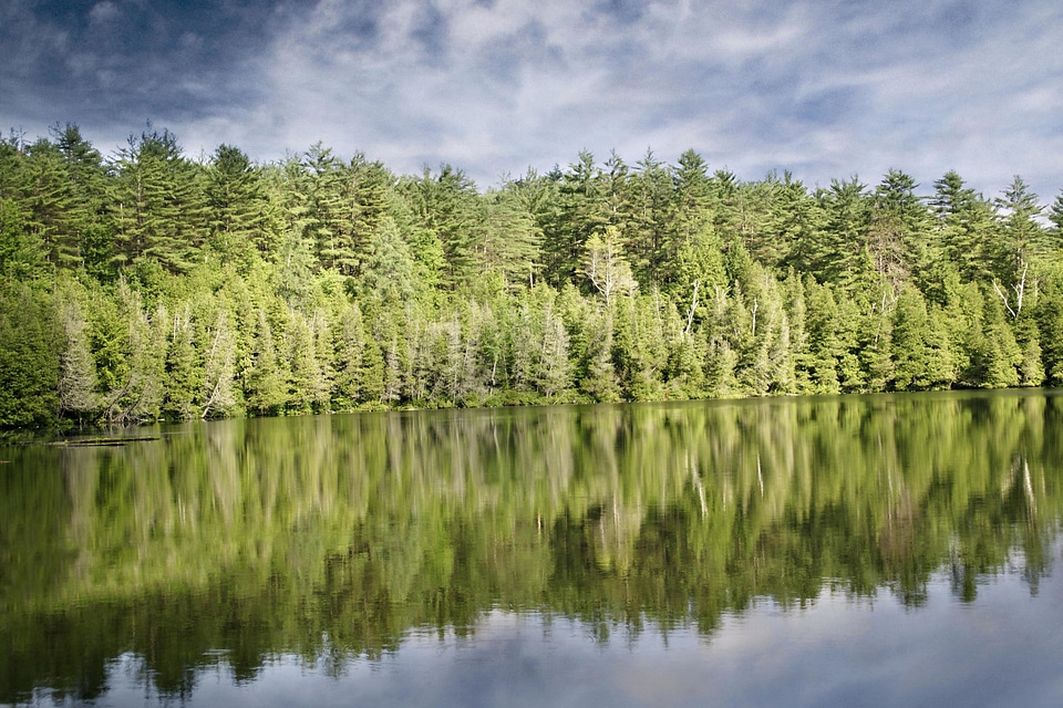 Beautiful Photo cloud environment