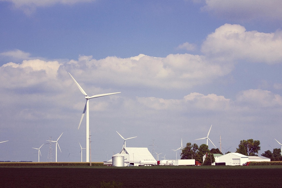 Alternative ecology efficiency