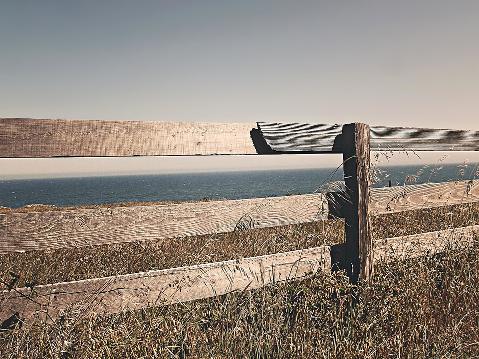 Beach coast coastline photo