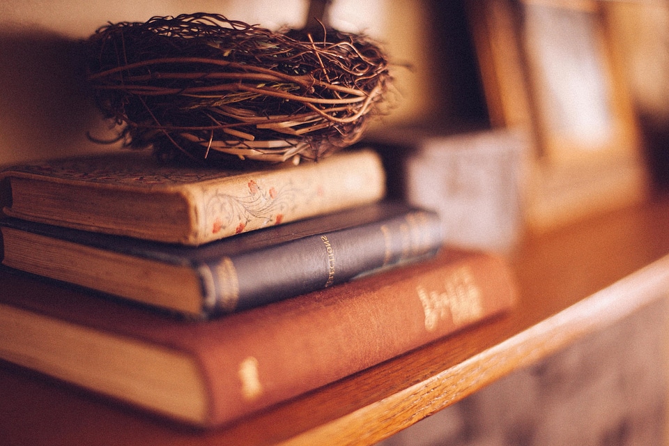 Antique book bookshelf photo