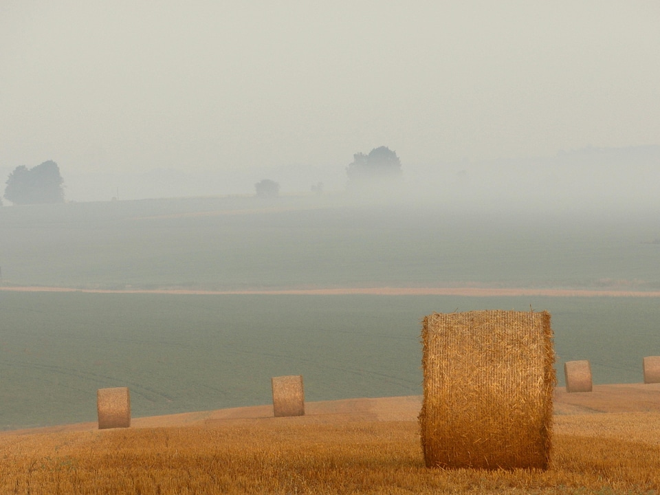 Agriculture dawn dusk