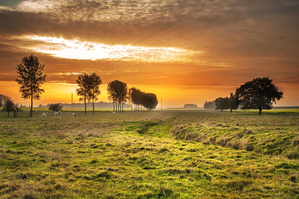 Agriculture atmosphere autumn