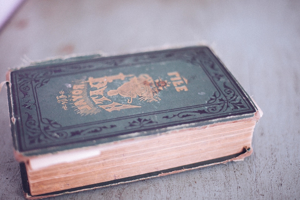 Antique book cover