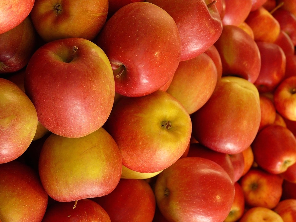Apple delicious diet