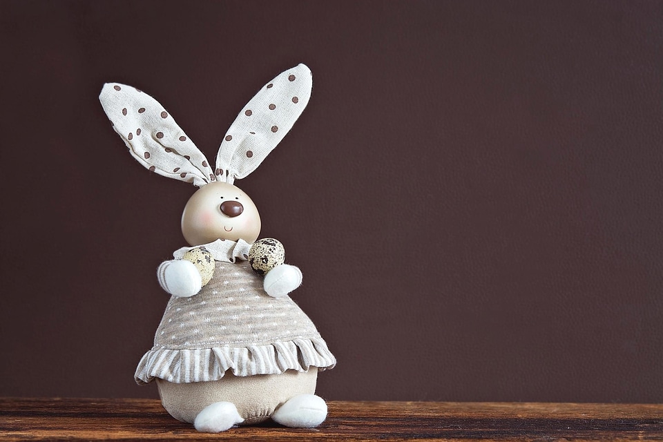 Beautiful Photo bunny decoration