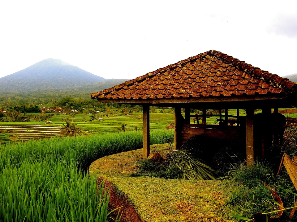 Agriculture architecture barn
