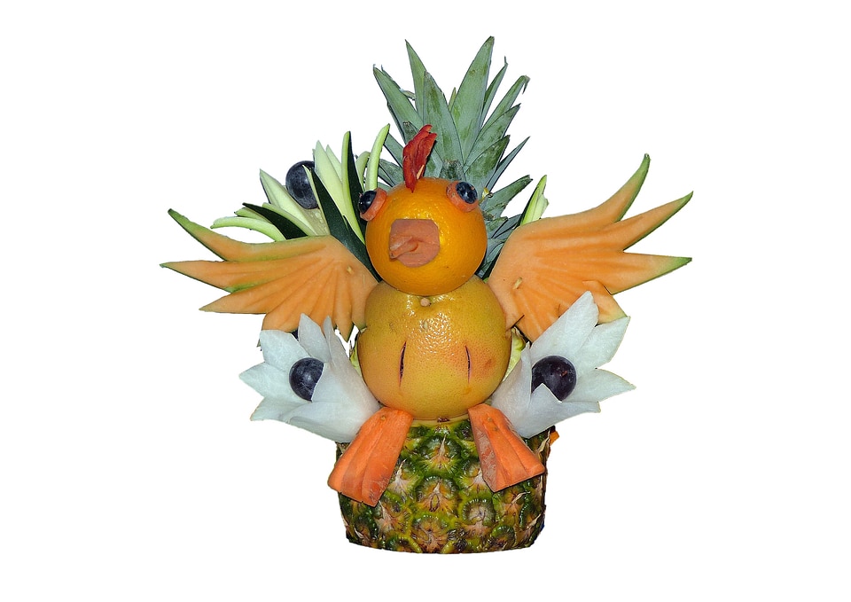 Bird fruit mix fruitmix