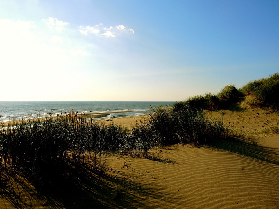 Beach dawn dusk