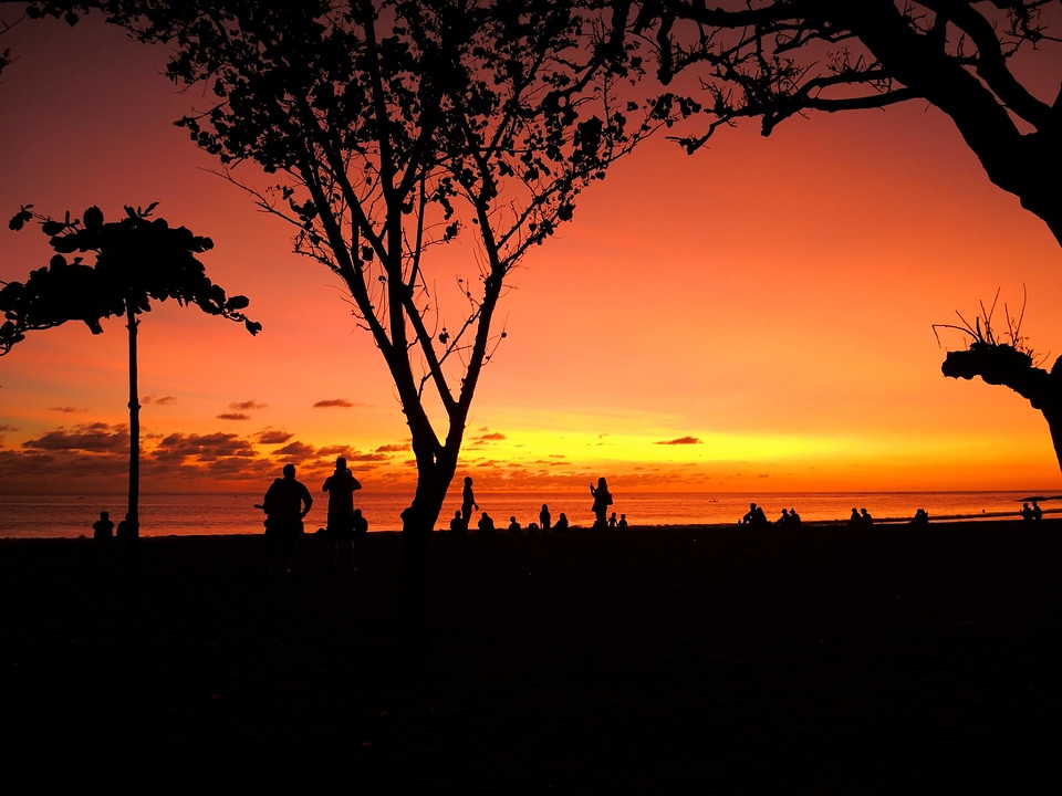 Backlight beach beautiful photo
