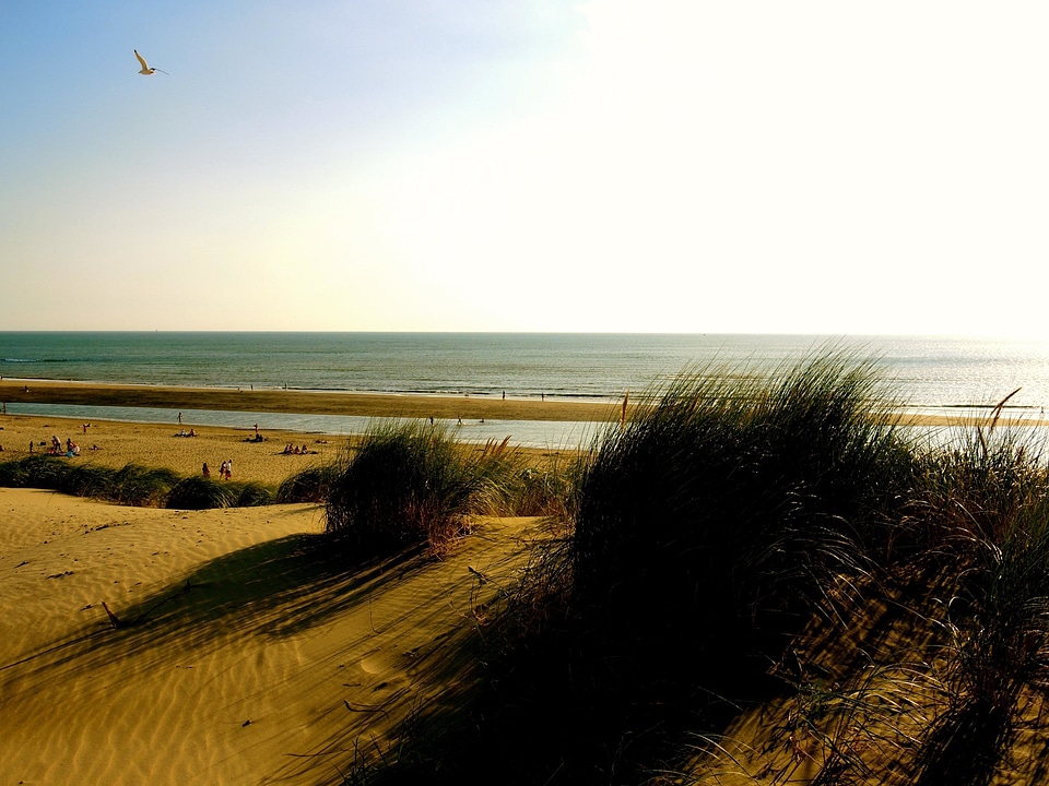 Beach coast coastline
