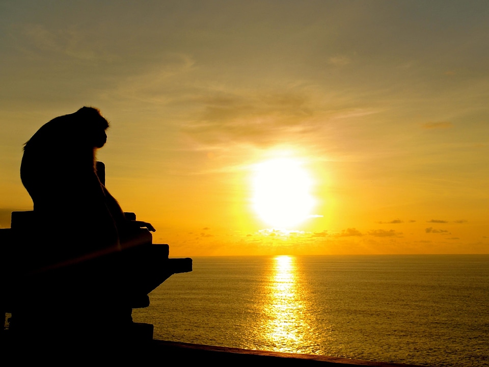 Backlight beach beautiful photo photo