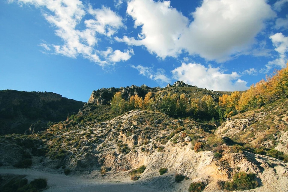 Daylight hill hillside