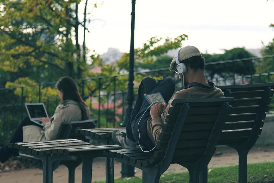 Bench daylight man