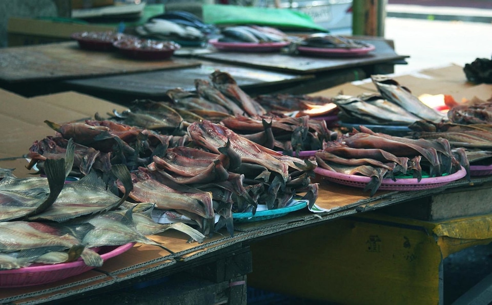 Fish fisherman industry