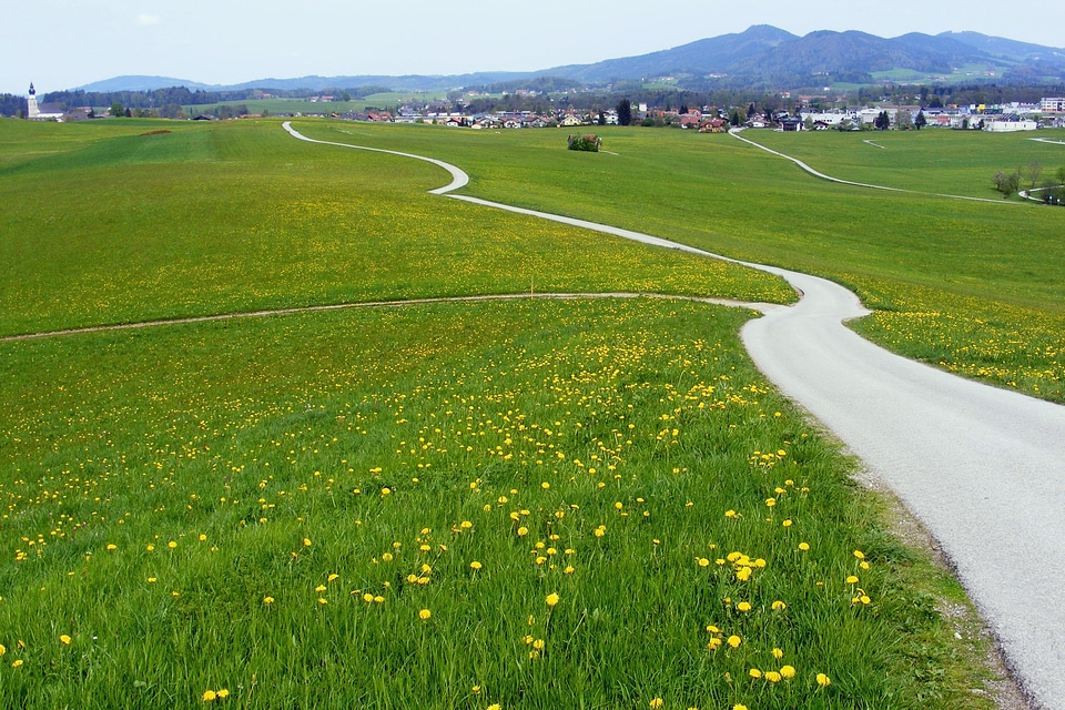 Landscape summer spring