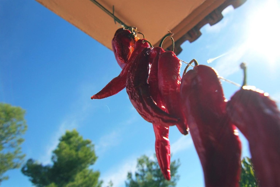 Chili delicious diet