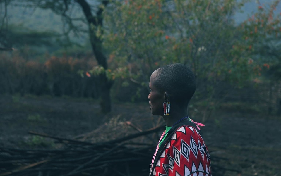 Africa landscape nature