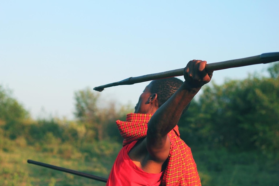 Action Africa body