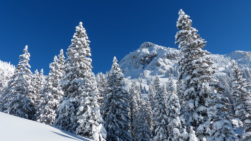 Snow landscape trees mountain photo