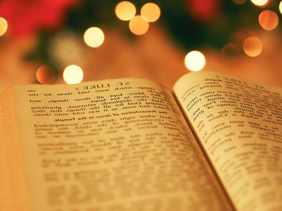 Book christmas colorful