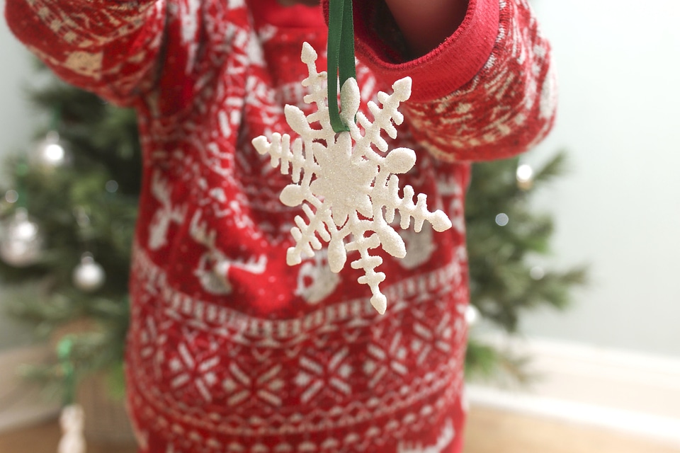 Celebration christmas color