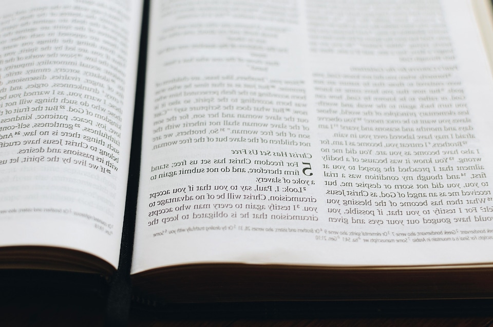 Book document education