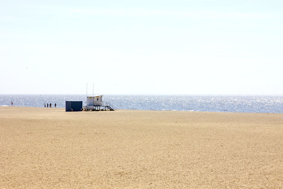 Agriculture beach coast