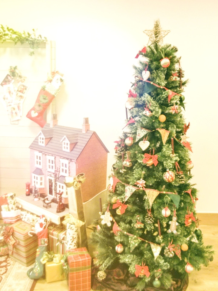 Celebration christmas colorful