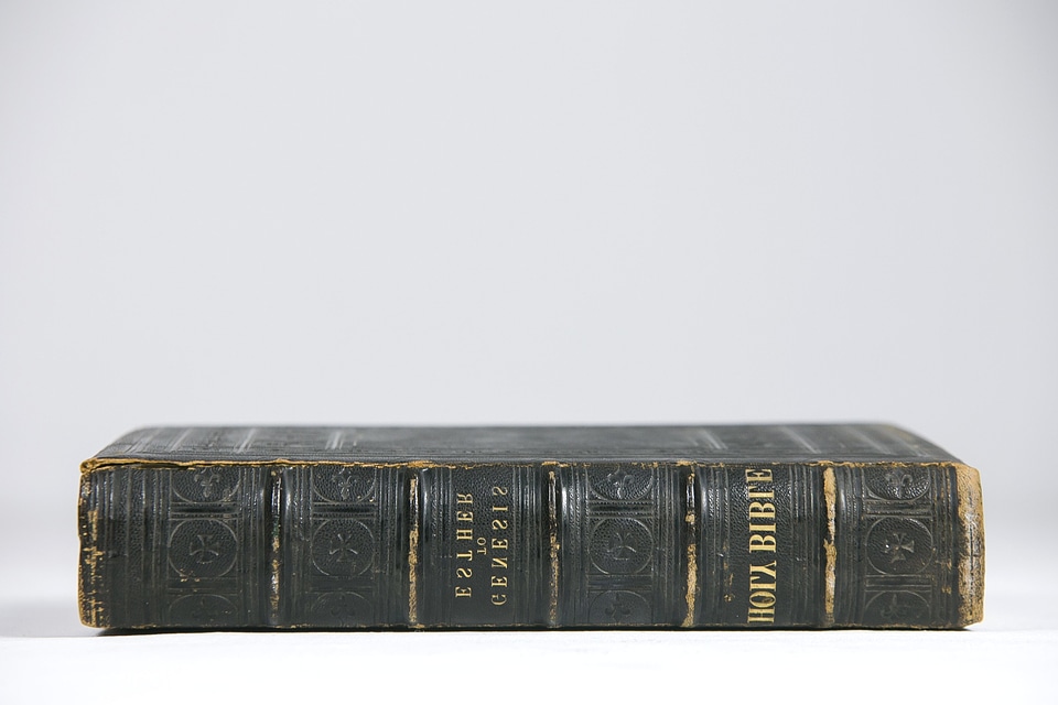 Antique book business