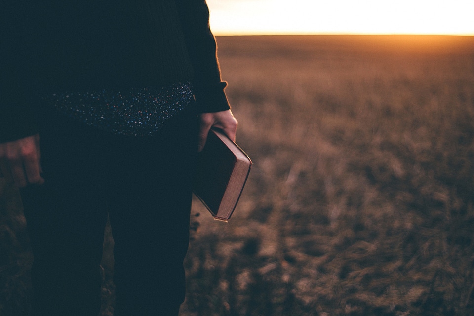 Book dusk field