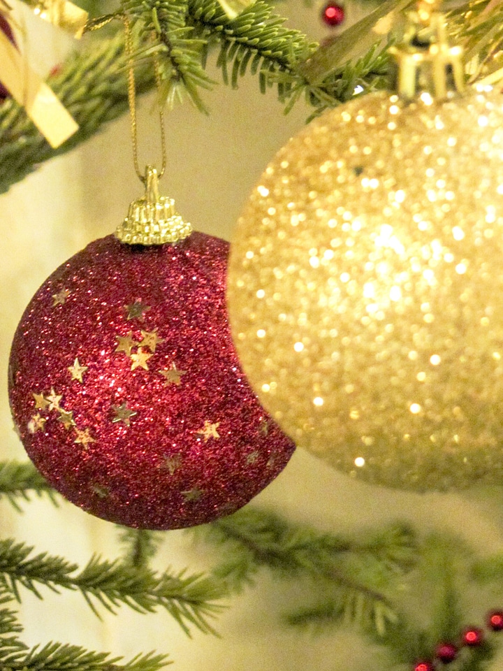 Celebration christmas colorful