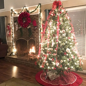 Celebration christmas decoration