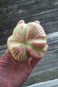 Color finger flower