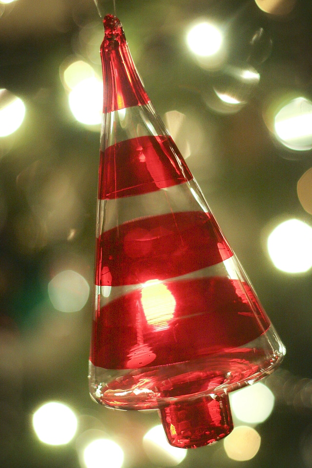 Celebration christmas colorful