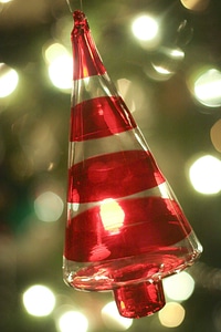 Celebration christmas colorful