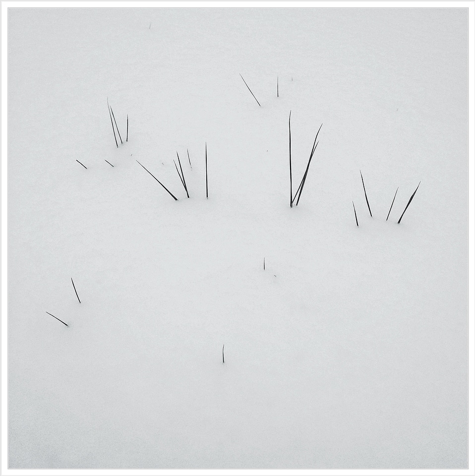 Snow cold winter dream