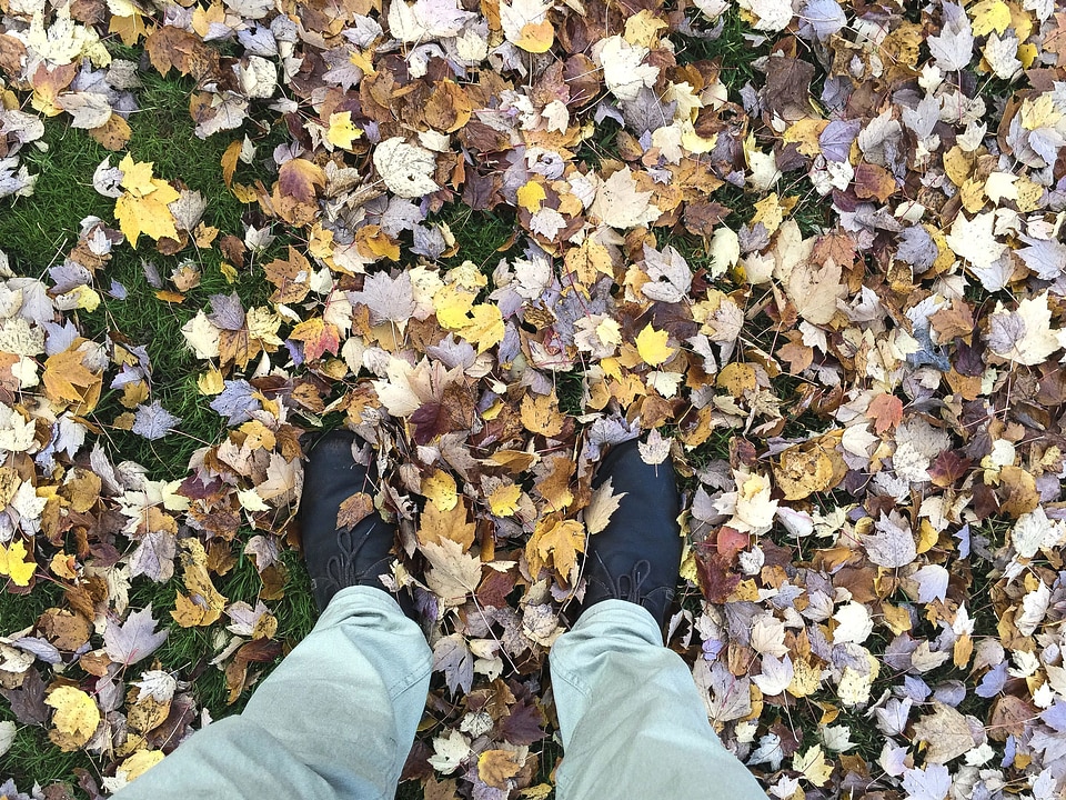 Autumn footwear leaf