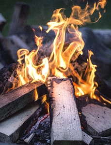 Barbecue bonfire burn photo