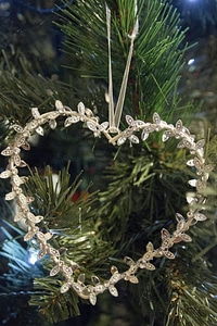 Branch christmas conifer